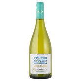 Chilensis - Signature Series - Sauvignon Blanc